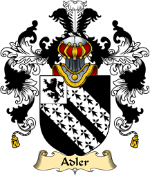 English Family Coat of Arms (v.25) Adler