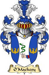 Irish Family Coat of Arms (v.23) for O