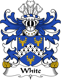 Welsh Coat of Arms for White (of Tenby, Pembrokeshire)