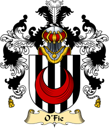 Irish Family Coat of Arms (v.25a) O