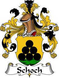 German Wappen Coat of Arms for Schoch