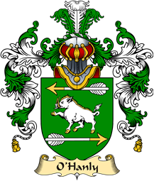 Irish Family Coat of Arms (v.25a) O