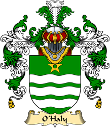 Irish Family Coat of Arms (v.25a) O