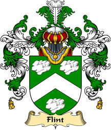Scottish Family Coat of Arms (v.25) Flint