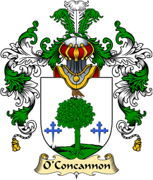 Irish Family Coat of Arms (v.25a) O
