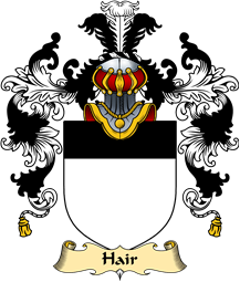 Scottish Family Coat of Arms (v.25) Hair