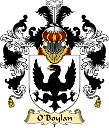 Irish Family Coat of Arms (v.25a) O