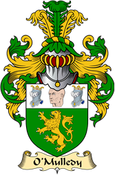 Irish Family Coat of Arms (v.23) for O