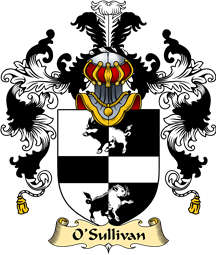 Irish Family Coat of Arms (v.25a) O