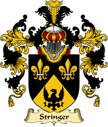 English Family Coat of Arms (v.25) Stringer