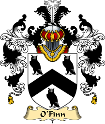 Irish Family Coat of Arms (v.25a) O