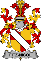 Irish Coat of Arms for Fitz-Nicol