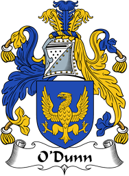 Irish Coat of Arms for O