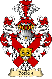 Irish Family Coat of Arms (v.23) for Bodkin