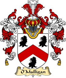 Irish Family Coat of Arms (v.25a) O