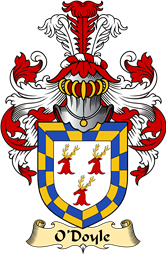 Irish Family Coat of Arms (v.23) for O