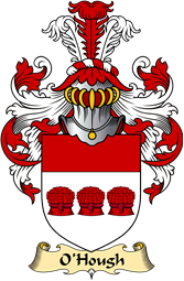 Irish Family Coat of Arms (v.23) for O