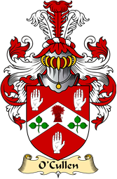 Irish Family Coat of Arms (v.23) for O