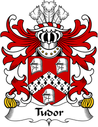 Welsh Coat of Arms for Tudor (from Owain Tudor)