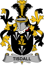 Irish Coat of Arms for Tisdall or Tisdale