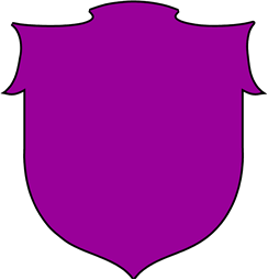 Shield 11