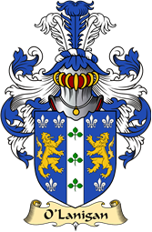 Irish Family Coat of Arms (v.23) for O