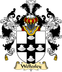 Irish Family Coat of Arms (v.25a) Wellesley