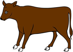 Calf Statant