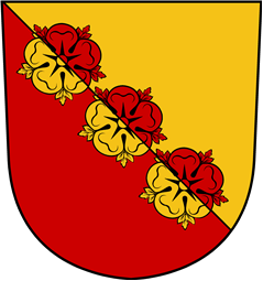 Swiss Coat of Arms for Schmidtmayer