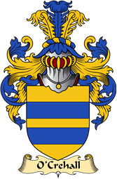 Irish Family Coat of Arms (v.23) for O