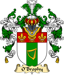 Irish Family Coat of Arms (v.25a) O