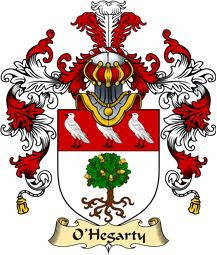 Irish Family Coat of Arms (v.25a) O