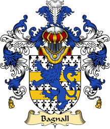Irish Family Coat of Arms (v.25a) Bagnall