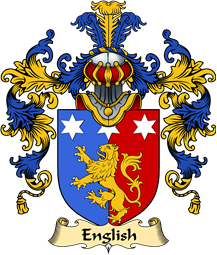 Irish Family Coat of Arms (v.25a) English