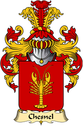 French Family Coat of Arms (v.23) for Chesnel