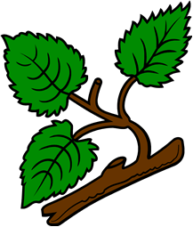 Hazel Branch