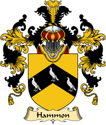 English Family Coat of Arms (v.25) Hammon