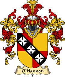 Irish Family Coat of Arms (v.25a) O