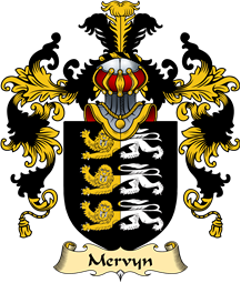 English Family Coat of Arms (v.25) Mervyn