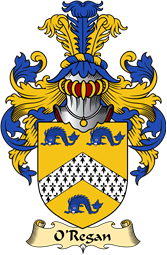 Irish Family Coat of Arms (v.23) for O