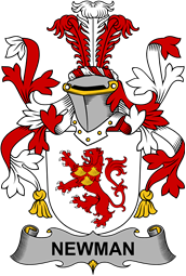 Irish Coat of Arms for Newman