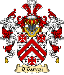 Irish Family Coat of Arms (v.25a) O