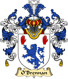 Irish Family Coat of Arms (v.25a) O