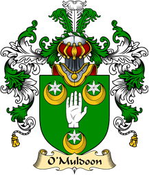 Irish Family Coat of Arms (v.25a) O