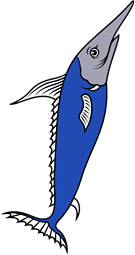 Swordfish