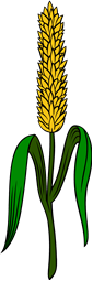 Wheat Stalk Bladed