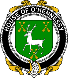 Irish Coat of Arms Badge for the O