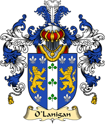 Irish Family Coat of Arms (v.25a) O