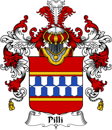 Italian Family Coat of Arms (v.25b) Pilli