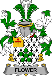 Irish Coat of Arms for Flower